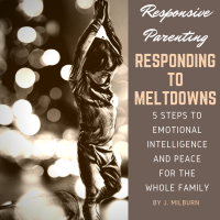 Responding to Meltdowns: 5 Steps to Emotional Intelligence and Peace for the Whole Family (Revised Shorter Version)
